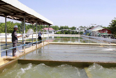 Dự án Nhà máy nước sạch Hòa Liên - Đà Nẵng: Lùm xùm trong lựa chọn nhà thầu gói thầu EPC