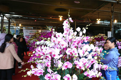 Chợ hoa Vạn Phúc (Hà Đông) tràn ngập sắc hoa trước Rằm tháng Chạp