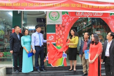 Hà Nội: Công bố thông tin 6 cửa hàng đầu tiên gắn biển nhận diện trái cây an toàn