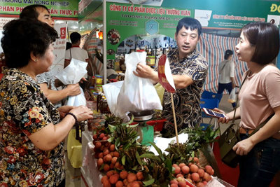 Nông sản Việt: Khó tiêu thụ vì liên kết lỏng