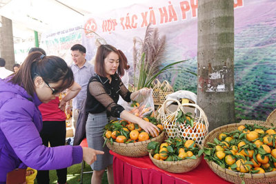 Siêu thị Co.opmart tổ chức Tuần lễ nông sản, thực phẩm tỉnh Hòa Bình năm 2019