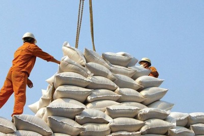 42 doanh nghiệp được cấp phép kinh doanh xuất khẩu gạo