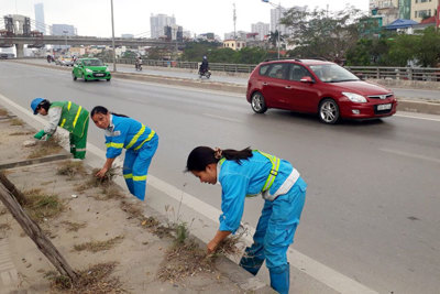 Âm thầm làm đẹp phố phường