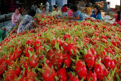 Đơn hàng xuất khẩu của Việt Nam tăng kỷ lục