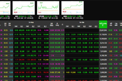 Phiên 6/2: Nhiều mã cổ phiếu đua sắc tím, giúp VN-Index lên cao nhất ngày