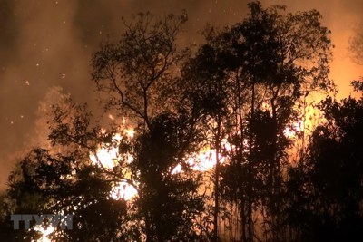 Cháy rừng dữ dội trong nhiều giờ ở Điện Biên