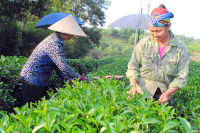 Việt Nam tham gia sâu rộng các FTA: “Chìa khoá” hội nhập toàn cầu