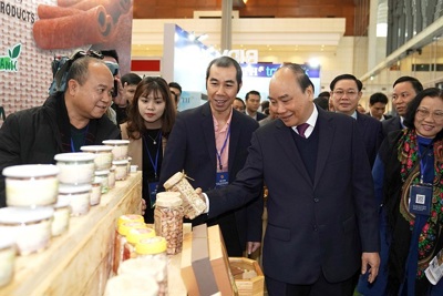 Thủ tướng Chính phủ Nguyễn Xuân Phúc: Doanh nghiệp là động lực quan trọng phát triển kinh tế