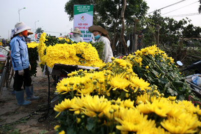 Vùng trồng hoa Mê Linh: Kỳ vọng sức mua tăng