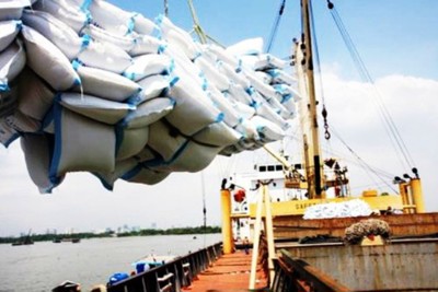 Việt Nam xuất khẩu 1,3 triệu tấn gạo từ đầu năm 2020