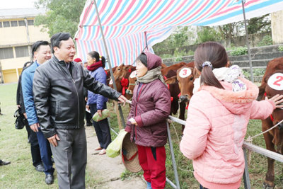 Trao tặng hơn 300 triệu đồng cho người nghèo huyện Ứng Hòa