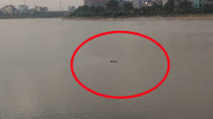 Phát hiện thi thể một phụ nữ nổi trên mặt hồ khu đô thị Thành phố Giao lưu