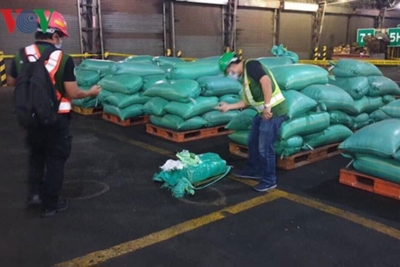 Vụ vận chuyển 300kg ma túy tại TP Hồ Chí Minh: Thu giữ thêm 276kg ma túy đá