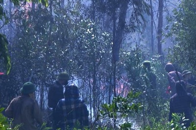 Nghệ An: Danh tính nạn nhân tử vong trong khi nỗ lực chữa cháy rừng