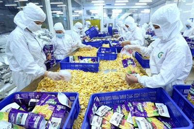 Việt Nam có nhiều mặt hàng lợi thế xuất khẩu sang Romania