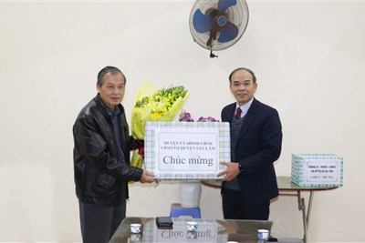 Lãnh đạo huyện Gia Lâm thăm, tặng quà đồng bào công giáo