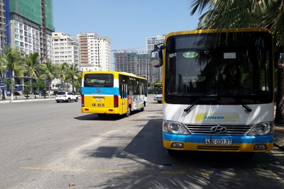 Đà Nẵng: Đầu tư hơn 16 tỷ đồng vận hành tuyến buýt TMF