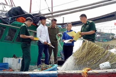 Chấm dứt tình trạng tàu cá vi phạm khai thác hải sản trái phép