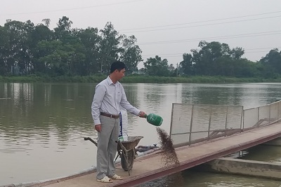 Mô hình “sông trong ao” tại Thanh Trì: Điểm sáng về nuôi cá sạch