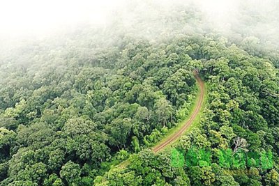 Thu dịch vụ môi trường rừng đạt 3.000 tỷ đồng