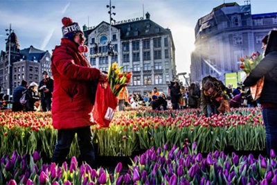 Thủ đô Amsterdam tìm cách "đuổi" khách du lịch