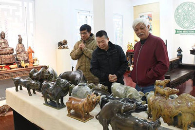 Nhà sử học Dương Trung Quốc giới thiệu bộ sưu tập "Lợn sung túc"