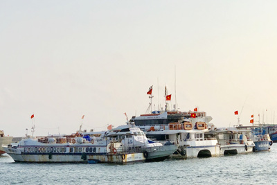 Quảng Ngãi: Tàu cao tốc nằm bờ vì vắng khách
