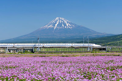 Đường sắt cao tốc từ góc nhìn quốc tế (kỳ I): Huyền thoại Shinkansen