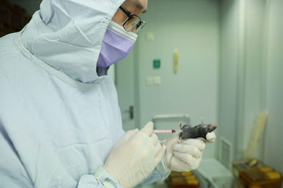 Trung Quốc bắt đầu thử nghiệm vaccine chống virus corona trên động vật