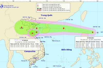 Chủ động ứng phó mưa lũ, sạt lở đất tại các tỉnh thành phía Bắc