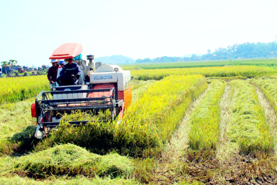 Tập trung huy động nguồn lực thực hiện hai chương trình mục tiêu quốc gia