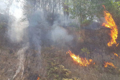 Hà Tĩnh: Cháy rừng lớn uy hiếp nhiều hộ gia đình