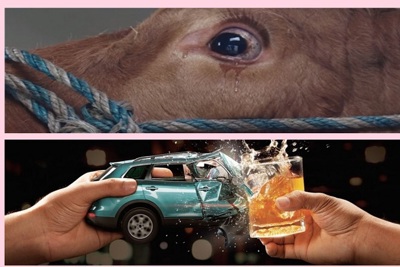 Từ 1/1/2020: Chọn bia rượu hoặc lái xe, không để vật nuôi nhìn đồng loại bị giết mổ