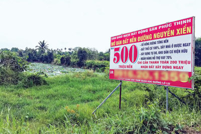 TP Hồ Chí Minh: Lo ngại nhà đầu tư đất nền sử dụng đòn bẩy tài chính quá đà