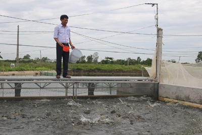 Phát triển thủy sản: Bộn bề khó khăn