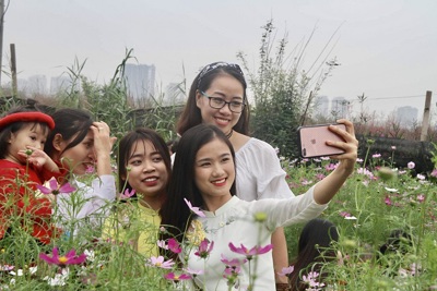 Người dân Thủ đô rạng ngời “selfie” tại vườn đào Nhật Tân