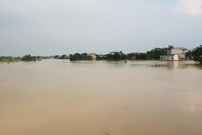 Hà Nội: Rút báo động lũ trên sông Bùi, sông Tích