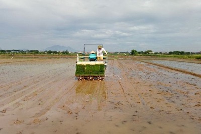 Sản xuất nông nghiệp lao đao vì nắng nóng