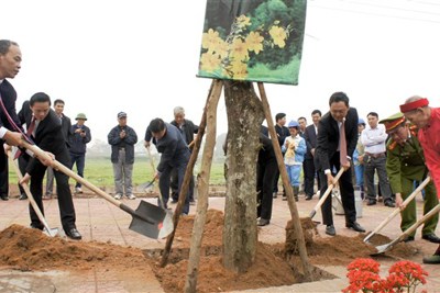 Huyện Gia Lâm phấn đấu trồng mới 4.500 cây xanh bóng mát