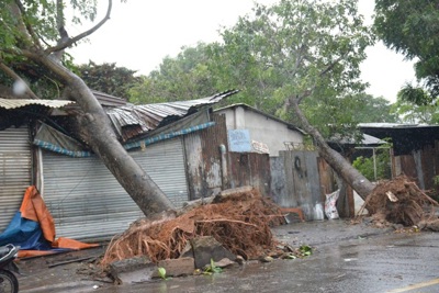 Hàng loạt nhà bị tốc mái, cây xanh đổ gãy ở phía Đông TP Hồ Chí Minh