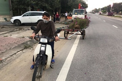 Hà Tĩnh: Trộm cắp cây cảnh trên quốc lộ, 1 đối tượng bị bắt giữ
