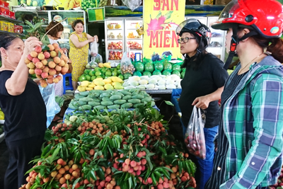 Hà Nội: Vải thiều, mận hậu tăng mạnh giá trước ngày Tết Đoan ngọ