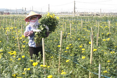 Tìm giải pháp ổn định cung cầu nông sản