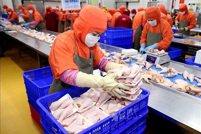Nga đồng ý nhập khẩu sản phẩm thịt gà chế biến của Việt Nam