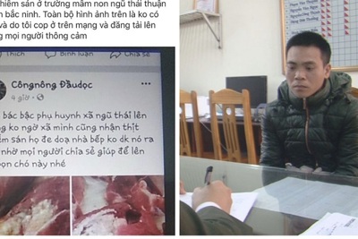 Tạm giữ chủ tài khoản facebook do đăng thông tin thất thiệt về lợn nhiễm sán tại Bắc Ninh