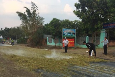 Đắk Lắk: Tăng cường phòng, chống dịch tả lợn châu Phi trong dịp Lễ hội cà phê