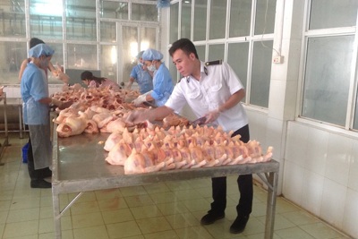 Phối hợp kiểm soát thú y giữa Hà Nội và các tỉnh, TP: Ngăn ngừa dịch bệnh, bảo đảm an toàn thực phẩm