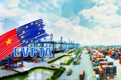 Phổ biến quy định về sở hữu trí tuệ trong EVFTA cho doanh nghiệp