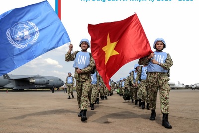 Những đóng góp tích cực của Việt Nam trong các hoạt động của Liên Hợp Quốc