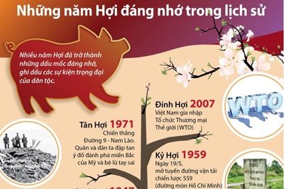 [Infographics] Những năm Hợi đáng nhớ trong lịch sử